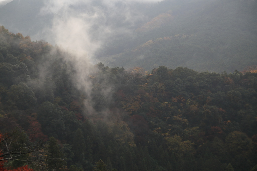 山気なう