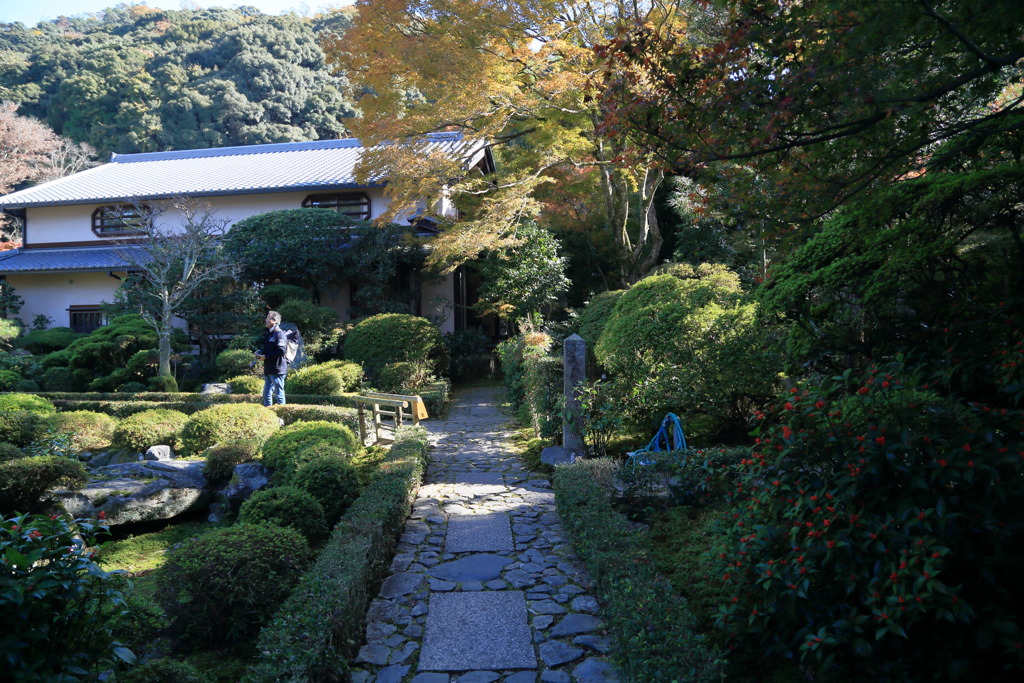 安楽寺なう