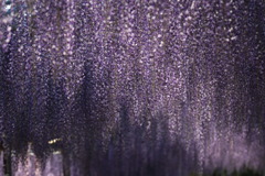 ギャラクシーなう