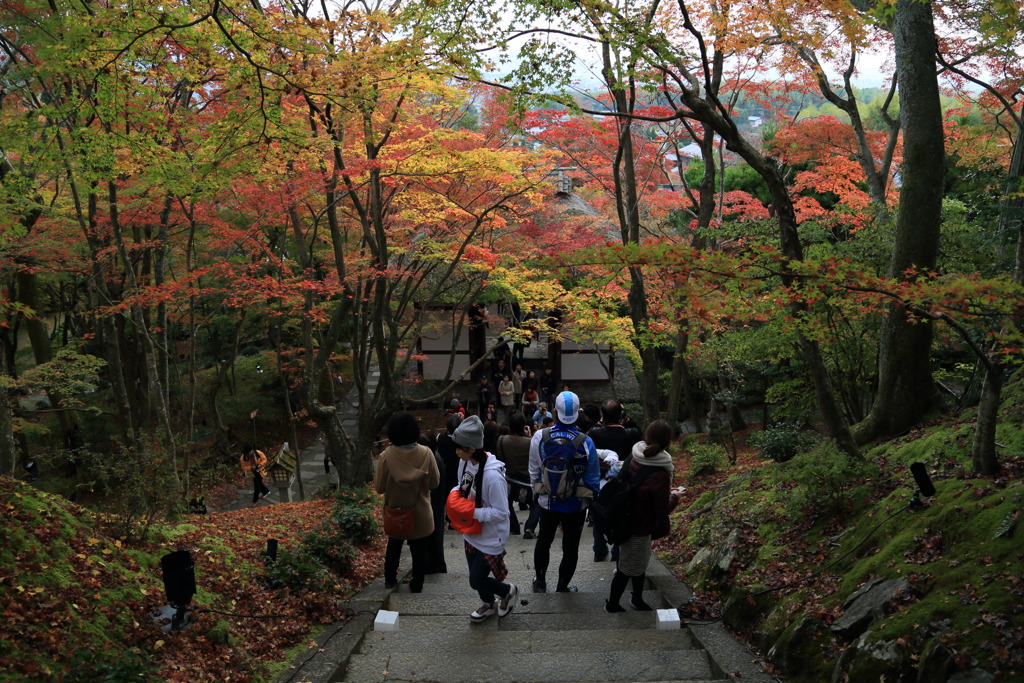 見返りなう