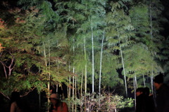 グリーンデステニィなう