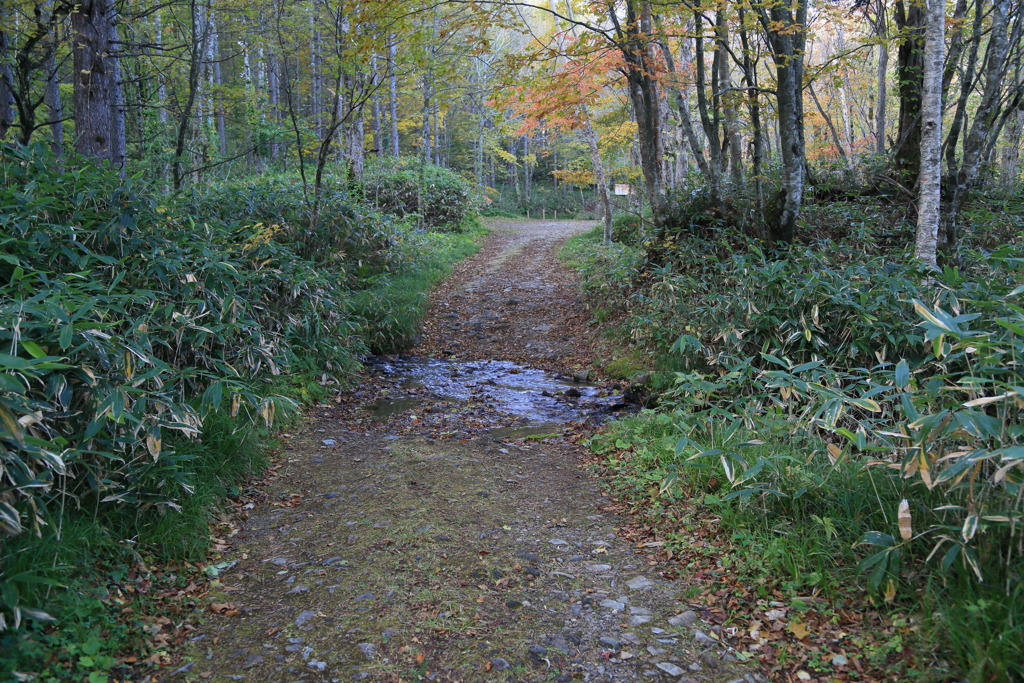 アクロスザリバーなう
