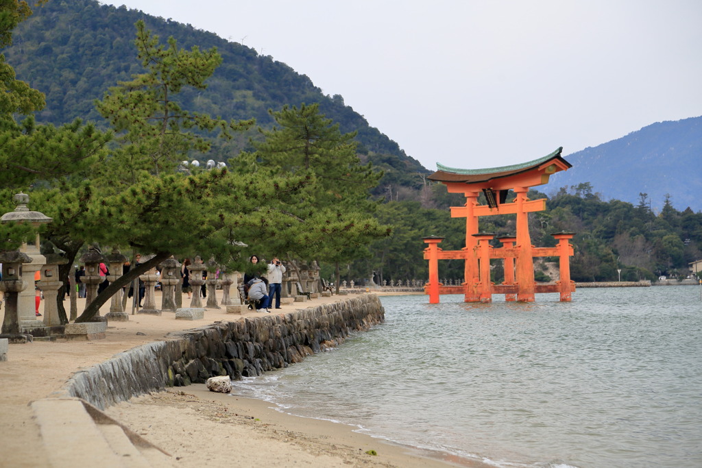 砂浜なう