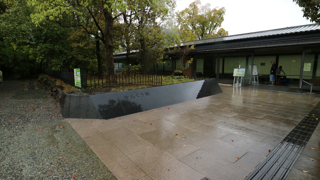 せんぐう館入口なう