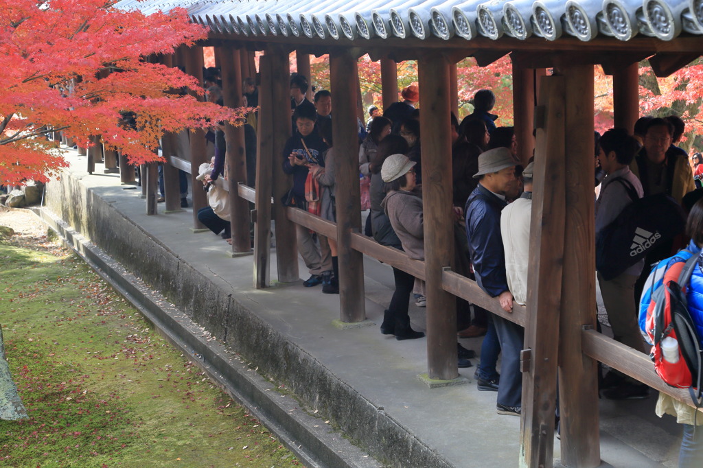 ニルヴァーナなう