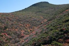 モンテベルディなう