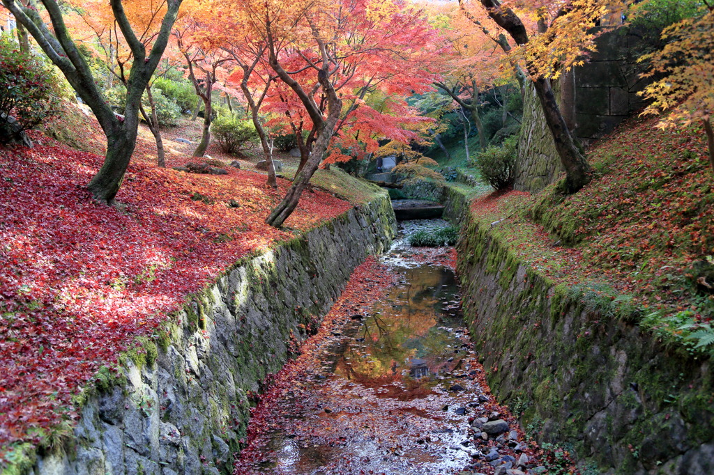 アド・アストラなう