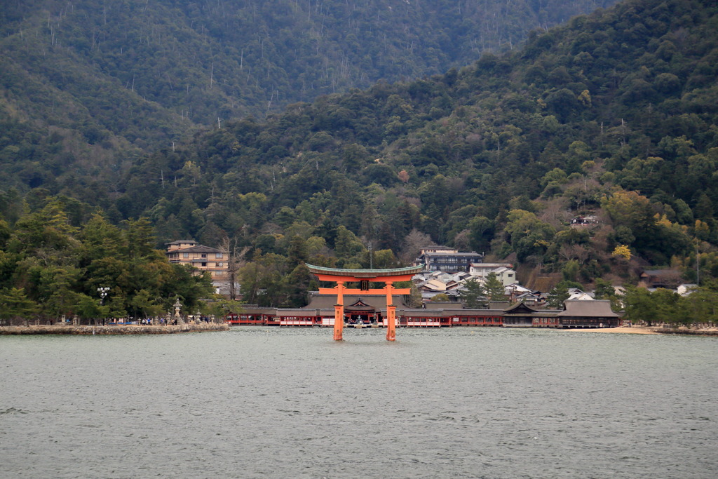 鳥居なう