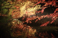 すいきょうなう