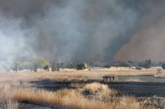 対岸の火事なう