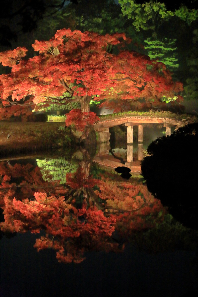 田鶴橋なう