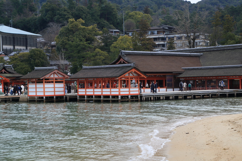 波打ち際なう