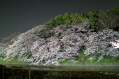 対岸なう