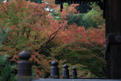 ラヴァーグなう