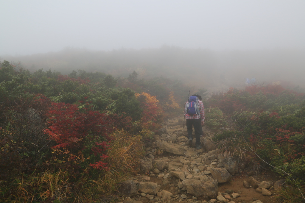 ガスリンチョナウ