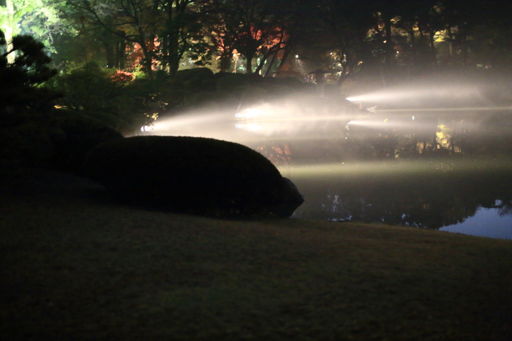 ビビビビーなう