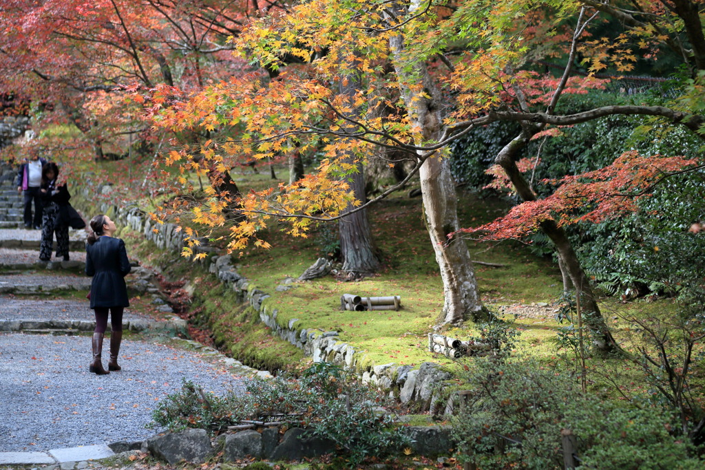 アイキャッチングなう