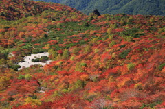おとぎの森ナウ