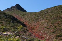 エディンバラなう