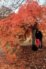 はいチーズなう