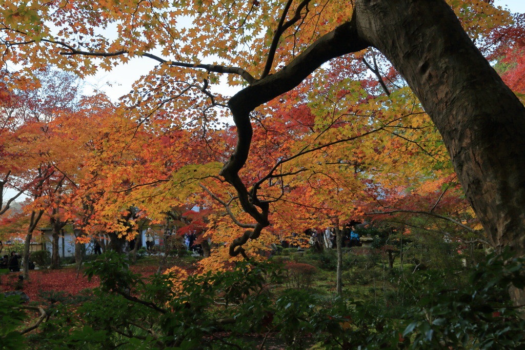 ハートオブオータムなう