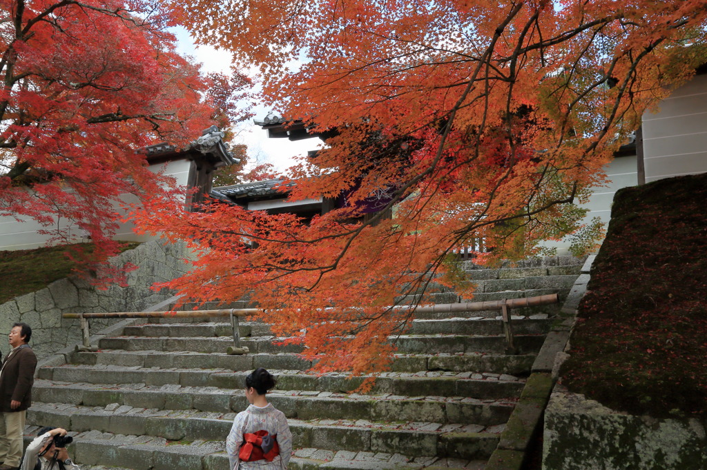 モデルさんなう