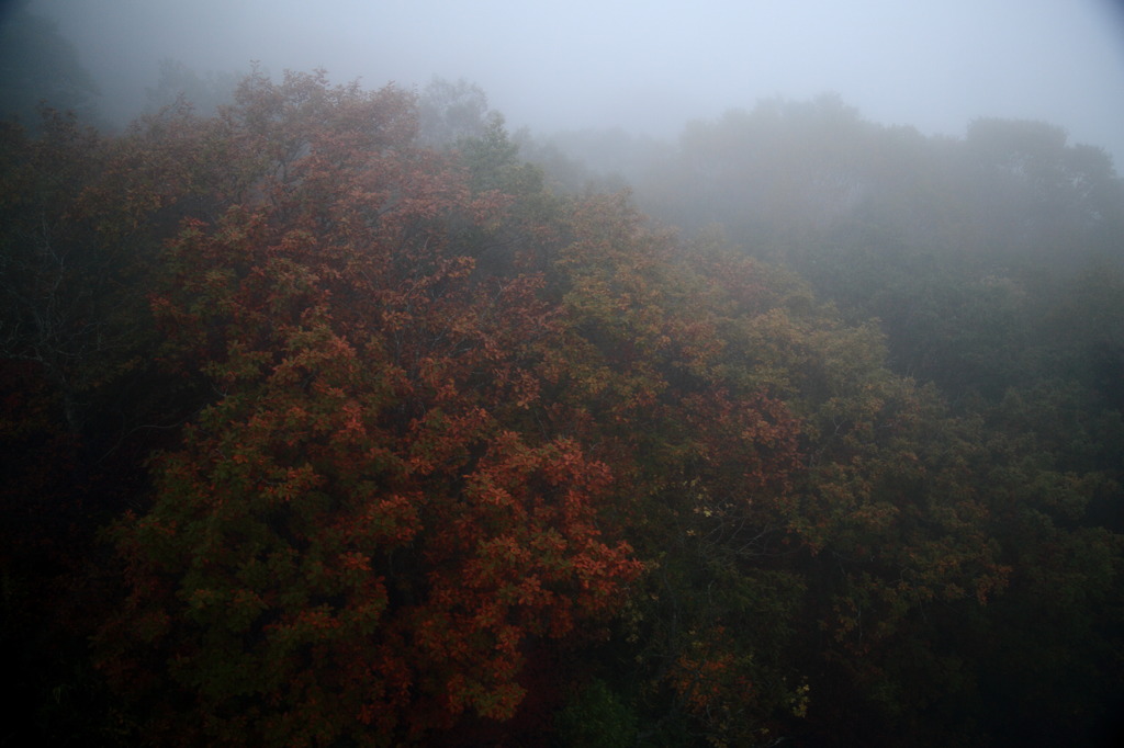 窓ごしその２ナウ