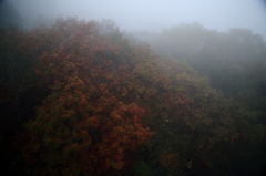 窓ごしその２ナウ