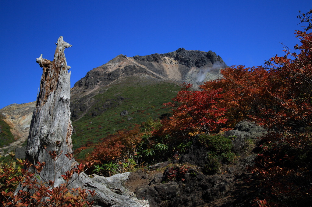 別アングルナウ