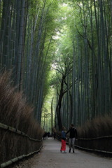 レゼトランジェなう