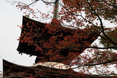 クリムゾンなう