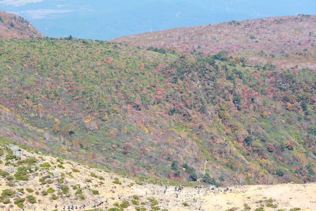 トレッキンなう