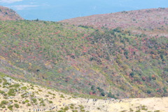 トレッキンなう