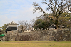 塀なう