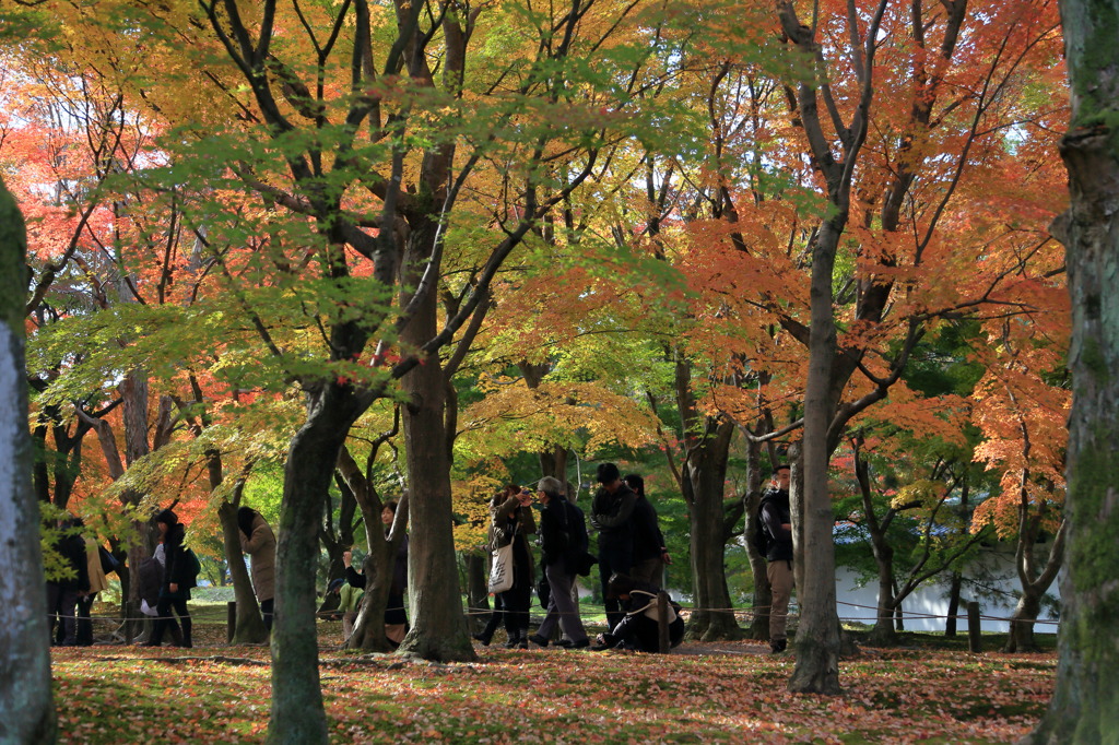 スターダストメモリーなう