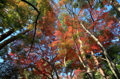 彩なう