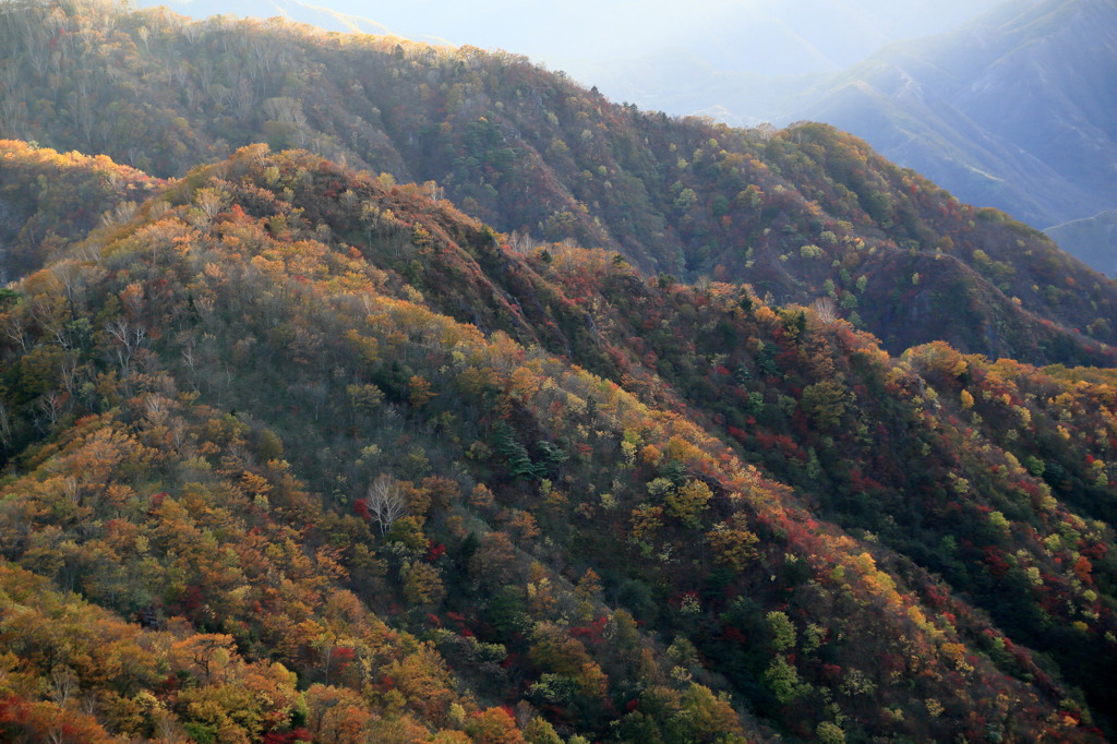 紅葉台ナウ