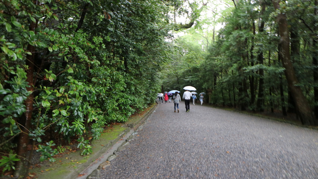 帰路なう