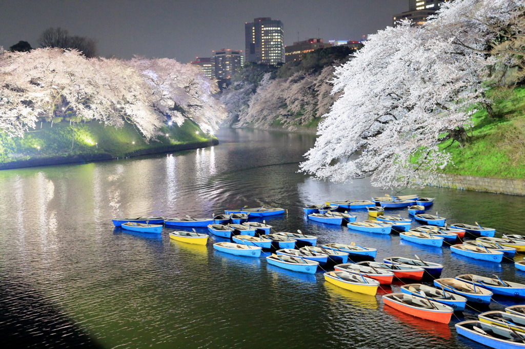 ピカーッチなう