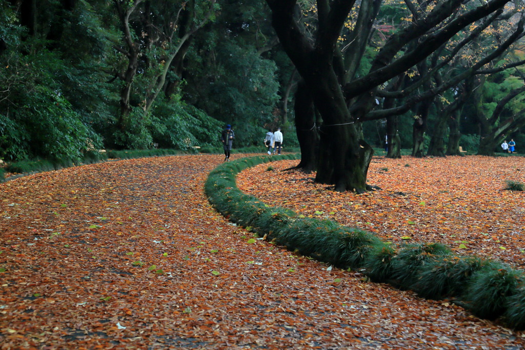 千駄ヶ谷門付近なう