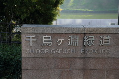 千鳥ヶ淵緑道なう