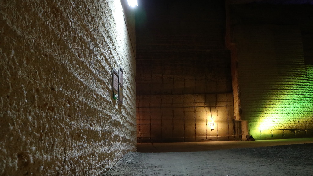 シュタインなう