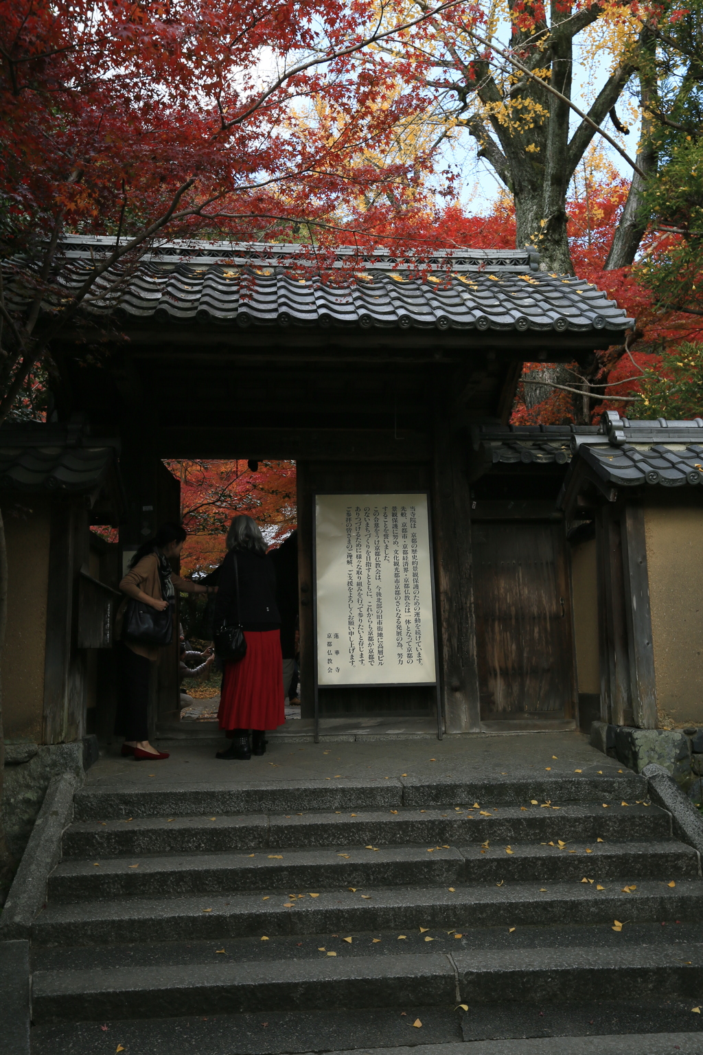 入門なう