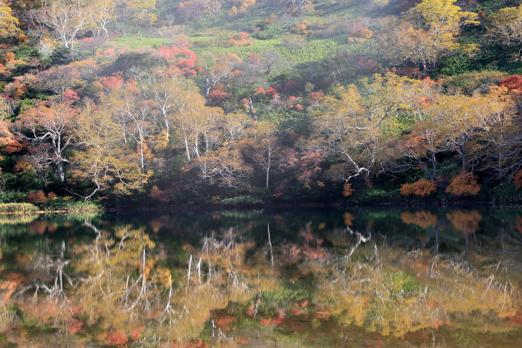 百花為誰開なう