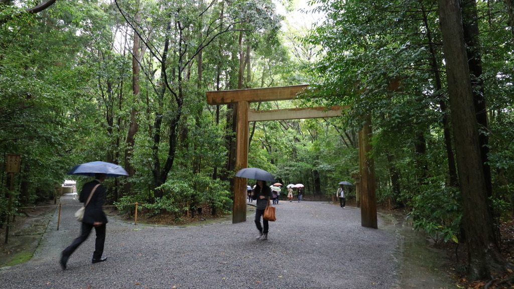 五月雨なう