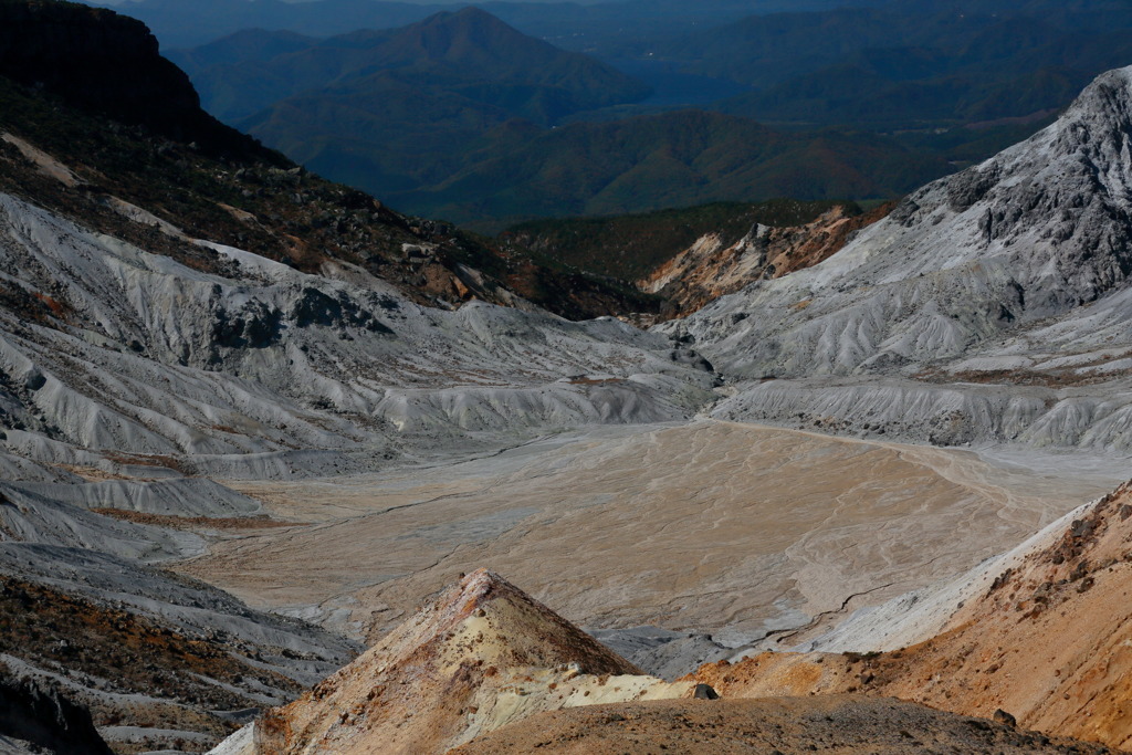スカーヴァティーなう
