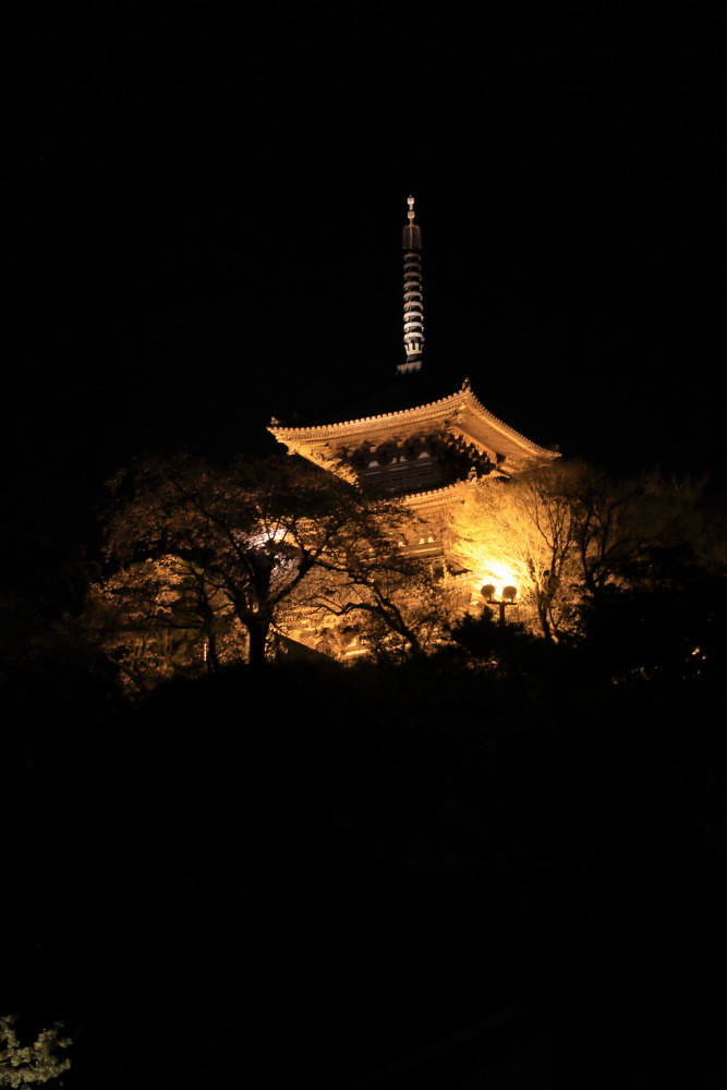 夜なう