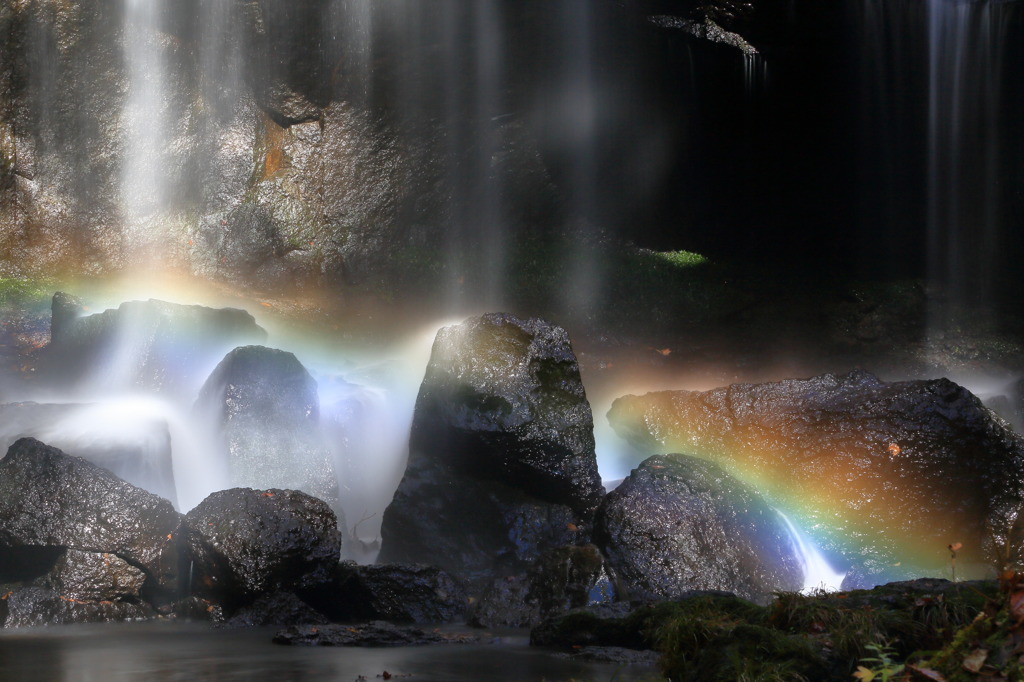 レインボーナウ