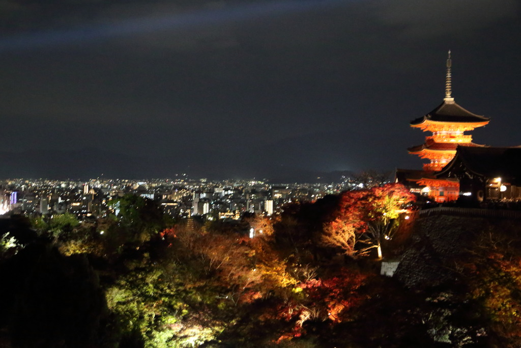 市街なう