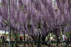 見も明らめめなう